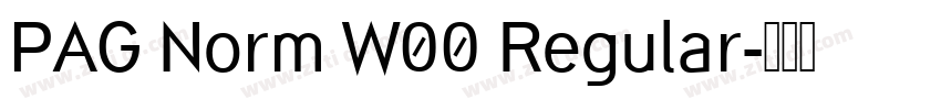 PAG Norm W00 Regular字体转换